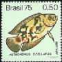 C-0887 Peixes de Água-Doce Apaiari