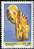 C-1143 Museu de Arte do Brasil Cr$28,00 Brancusi